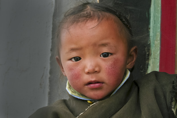 Tibet bébé
