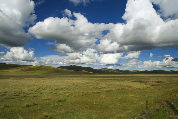 Pérou altiplano